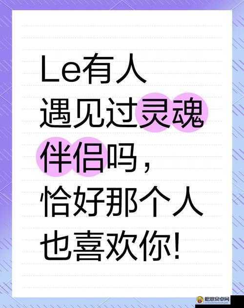 梦界物语，探索灵魂伴侣的奇妙效应与约会启动秘诀